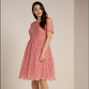Chi chi curve Danielle dress